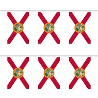 Florida Rectangular Bunting