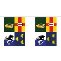 Four Provinces Giant Bunting