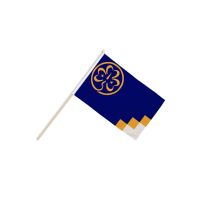 Girl Guides Hand Flags