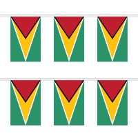 Guyana Rectangular Bunting