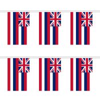 Hawaii Rectangular Bunting