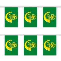 Huntingdonshire Rectangular Bunting