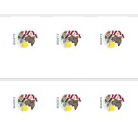 Illinois Rectangular Bunting