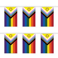 Intersex Progress Pride Rectangular Bunting
