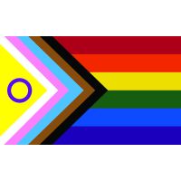 Intersex Progress Pride Coffin Drape Flag