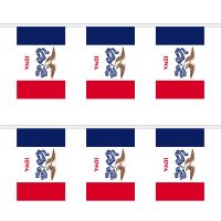Iowa Rectangular Bunting