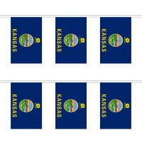 Kansas Rectangular Bunting