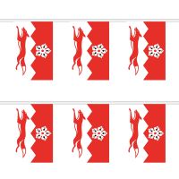 Leicestershire Old Rectangular Bunting