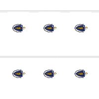 Massachusetts Rectangular Bunting