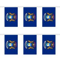 Michigan Rectangular Bunting