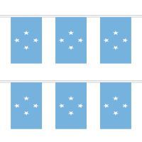 Micronesia Rectangular Bunting