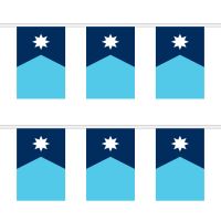 Minnesota Rectangular Bunting