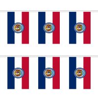 Missouri Rectangular Bunting