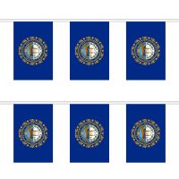 New Hampshire Rectangular Bunting