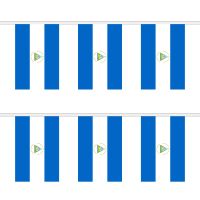 Nicaragua Rectangular Bunting