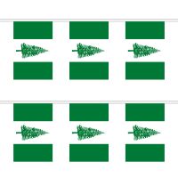 Norfolk Island Rectangular Bunting