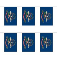 North Dakota Rectangular Bunting