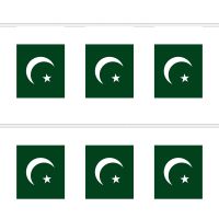 Pakistan Rectangular Bunting