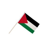 Palestine Hand Flags