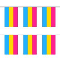 Pansexual Rectangular Bunting