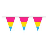 Pansexual Triangle Bunting