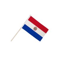 Paraguay Hand Flags