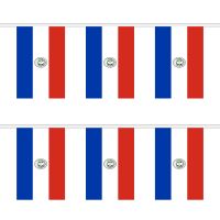 Paraguay Rectangular Bunting