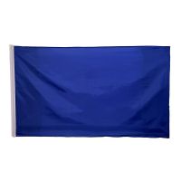 Plain Blue NYLON Flag