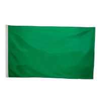 Plain Green NYLON Flag