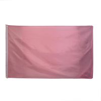 Plain Pink NYLON Flag