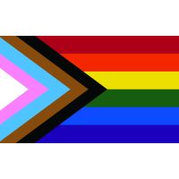 Progress Pride Coffin Drape Flag