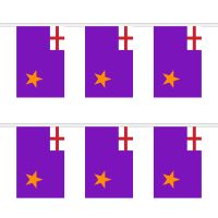 Purple Standard Rectangular Bunting