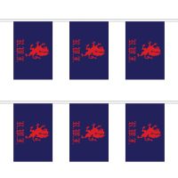 Royal Welch Fusiliers Rectangular Bunting