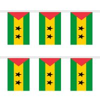 Sao Tome and Principe Rectangular Bunting