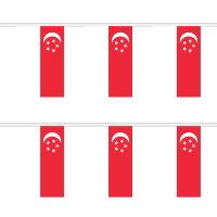 Singapore Rectangular Bunting