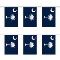 South Carolina Rectangular Bunting