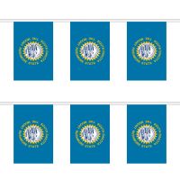 South Dakota Rectangular Bunting