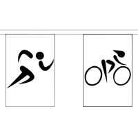 Sports Giant Bunting