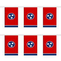 Tennessee Rectangular Bunting