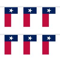 Texas Rectangular Bunting
