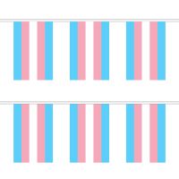 Transgender (New) Rectangular Bunting