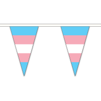 Transgender (New) Triangle Bunting