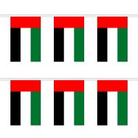 United Arab Emirates Rectangular Bunting