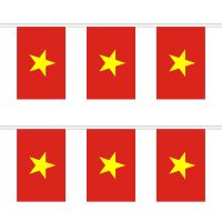 Vietnam New Rectangular Bunting