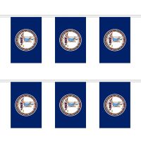 Virginia Rectangular Bunting