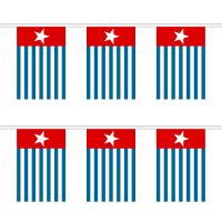 West Papua Rectangular Bunting