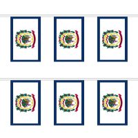 West Virginia Rectangular Bunting