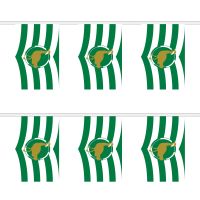 Wiltshire New Rectangular Bunting