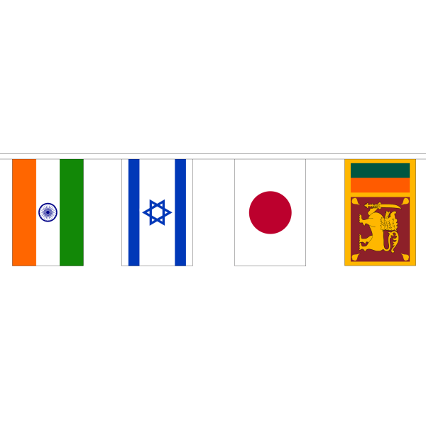 44 Asian Nations 13m Bunting