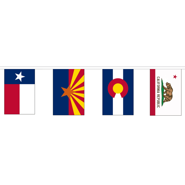 50 US States Bunting (15m Length)